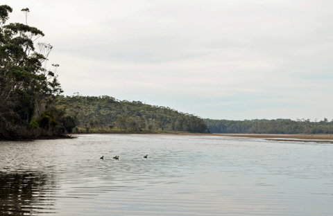 Tabourie Lake - Redcliffe Tourism 0