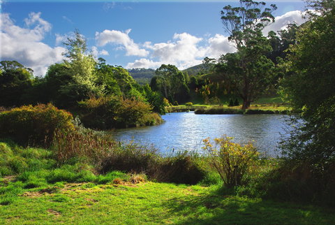 Tasmanian Arboretum Inc. - The - Redcliffe Tourism 0