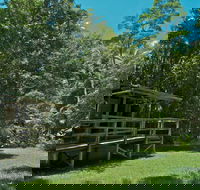 Terania Creek Picnic Area - Redcliffe Tourism