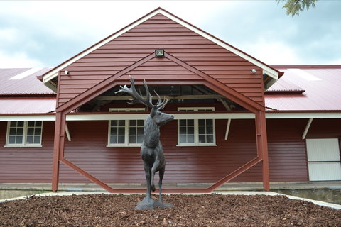 The Somerset Regional Art Gallery - The Condensery - Redcliffe Tourism 1