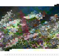 The Homestead Gallery - Redcliffe Tourism