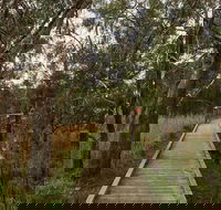 The Briars Park Walking Trails - Redcliffe Tourism