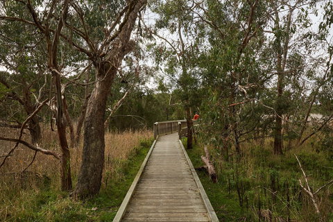 The Briars Park Walking Trails - Redcliffe Tourism 0