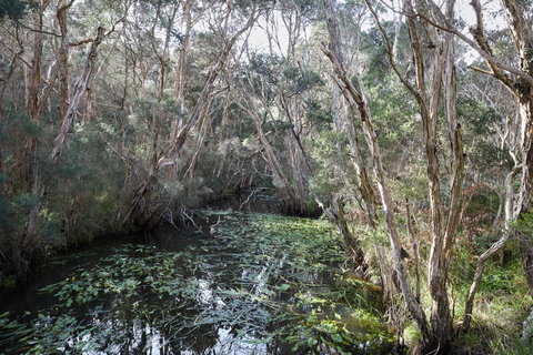 The Briars Park Walking Trails - Redcliffe Tourism 2