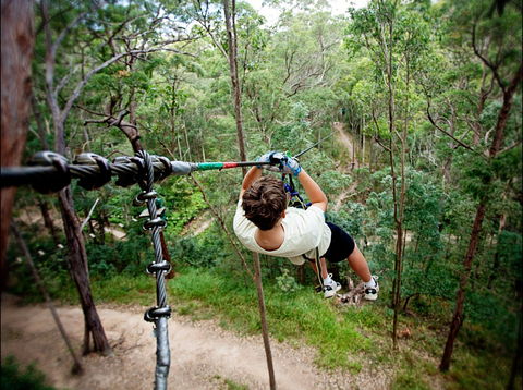 TreeTop Challenge - Redcliffe Tourism 0