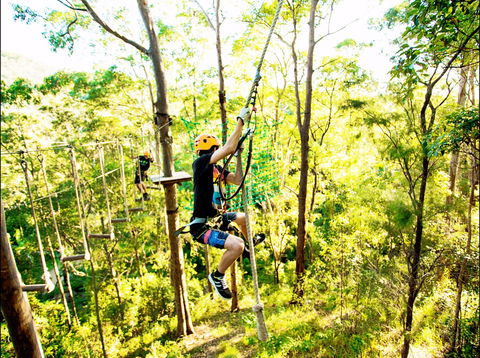 TreeTop Challenge - Redcliffe Tourism 1
