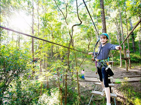 TreeTop Challenge - Redcliffe Tourism 2