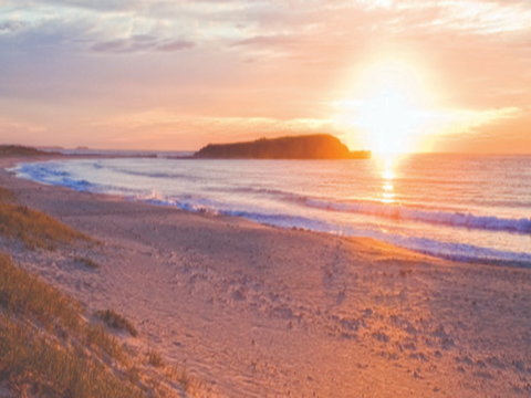 Warilla Beach: Shellharbour - Redcliffe Tourism 0