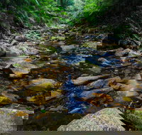Willi Willi National Park - Redcliffe Tourism