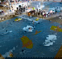 Wodonga Sports and Leisure Centre - Redcliffe Tourism