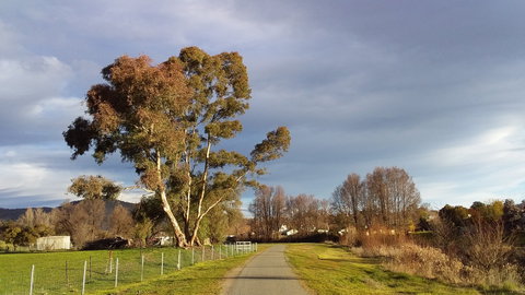 Adelong - Redcliffe Tourism 2