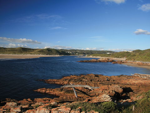 Arthur River - Redcliffe Tourism 0