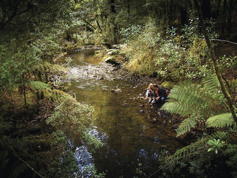 Arthur River - Redcliffe Tourism 1