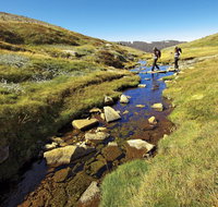 Australian Alps Walking Track - Redcliffe Tourism