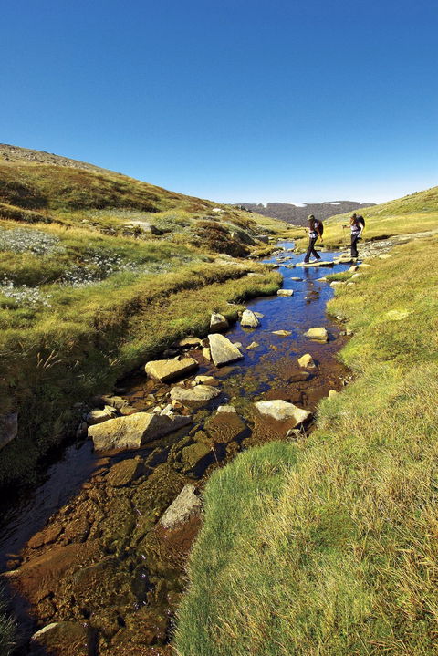 Australian Alps Walking Track - Redcliffe Tourism 0