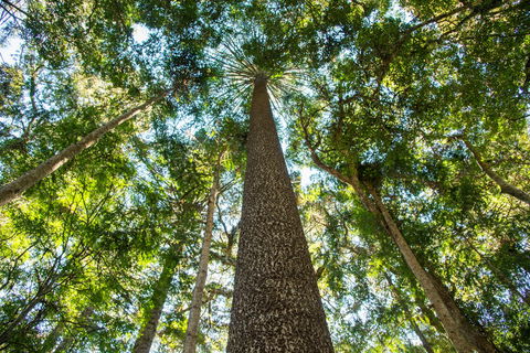 Big Sky National Parks - Redcliffe Tourism 0