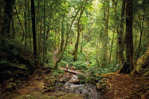 Big Sky National Parks - Redcliffe Tourism 1