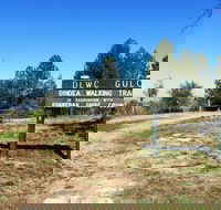 Bindea Walking Track - Redcliffe Tourism