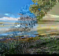 Black Oaks Picnic Area - Redcliffe Tourism