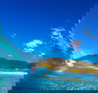 Blueys Beach Pacific Palms - Redcliffe Tourism