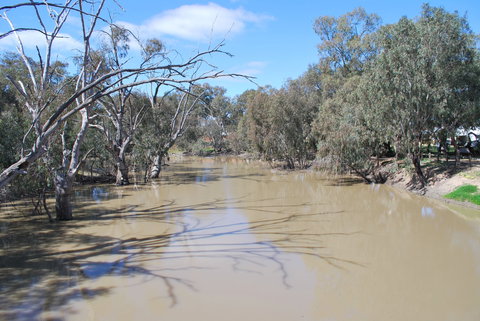 Bush Tucker Trail - Redcliffe Tourism 0
