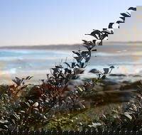 Cape Conran Coastal Park - Redcliffe Tourism