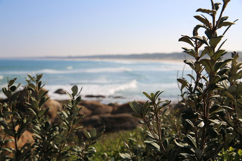 Cape Conran Coastal Park - Redcliffe Tourism 0