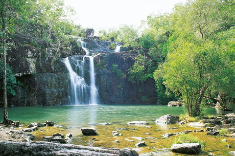 Cedar Creek Falls - Redcliffe Tourism 0