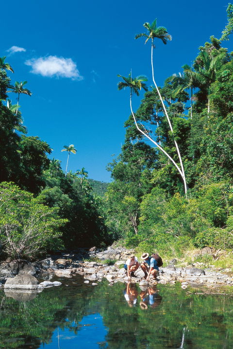 Cedar Creek Falls - Redcliffe Tourism 2