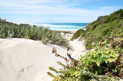 Coffin Bay National Park - Redcliffe Tourism 1