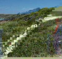 Conjola Beach Picnic Area - Redcliffe Tourism