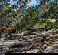 Couridjah Corridor Walk - Redcliffe Tourism