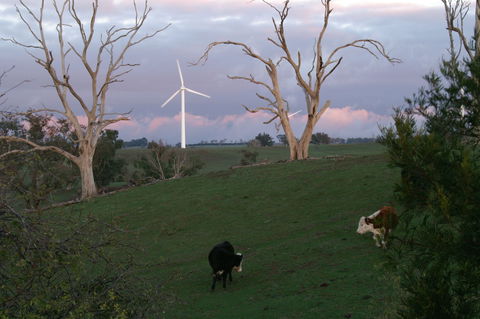 Crookwell Wind Farm - Redcliffe Tourism 1