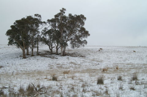 Crookwell Wind Farm - Redcliffe Tourism 2