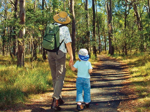 Daisy Hill - Redcliffe Tourism 2