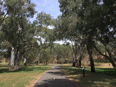 Dead Mans Pass - Redcliffe Tourism 0