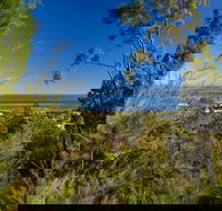 Dunwich Goompie - Redcliffe Tourism