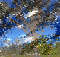 Euroa Arboretum - Redcliffe Tourism