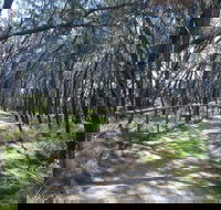 Federation Walk - Redcliffe Tourism