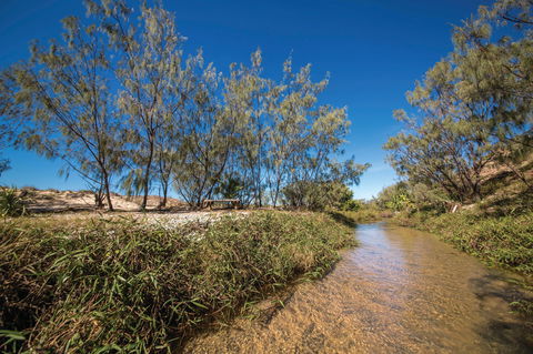 Freshwater Creek Track, Byfield National Park - Redcliffe Tourism 0