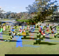 Hello Koalas Sculpture Trail - Redcliffe Tourism
