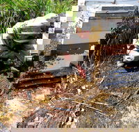 Honey Tasmania - The Beehive - Redcliffe Tourism