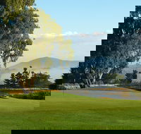 Kangaroo Tours at Gisborne Golf Club Inc - Redcliffe Tourism