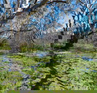 Macquarie Valley Trails