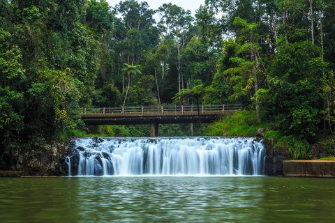 Malanda Falls - Redcliffe Tourism 0
