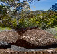 Marramarra Ridge to Smugglers Ridge walking track - Redcliffe Tourism