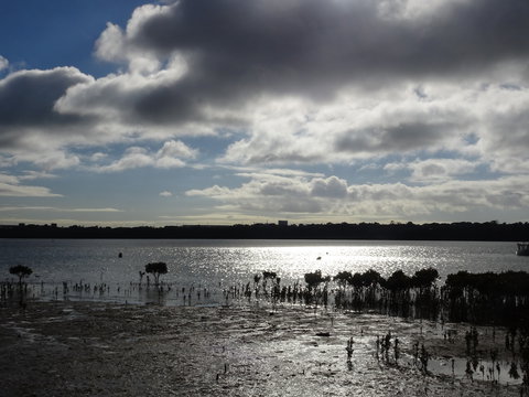 Marine Parade (Hastings Foreshore Reserve) Circuit - Cycling - Redcliffe Tourism 0
