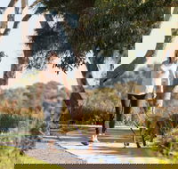 Meningie Walking and Cycling Trails - Redcliffe Tourism