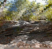 Mooney Mooney nature walk - Redcliffe Tourism
