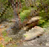 Mount Olive Trail - Redcliffe Tourism